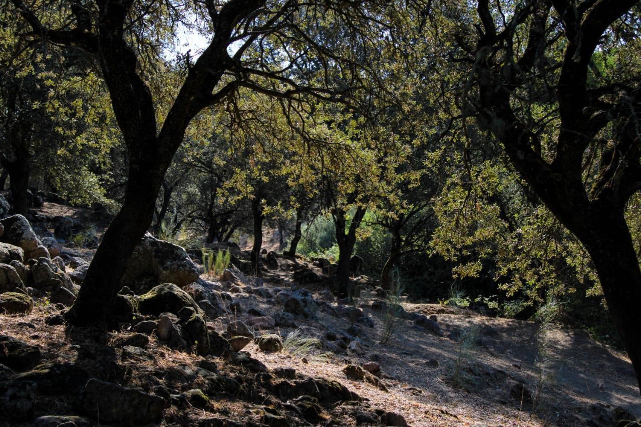 La Costanilla De Los Angeles Navalcan エクステリア 写真